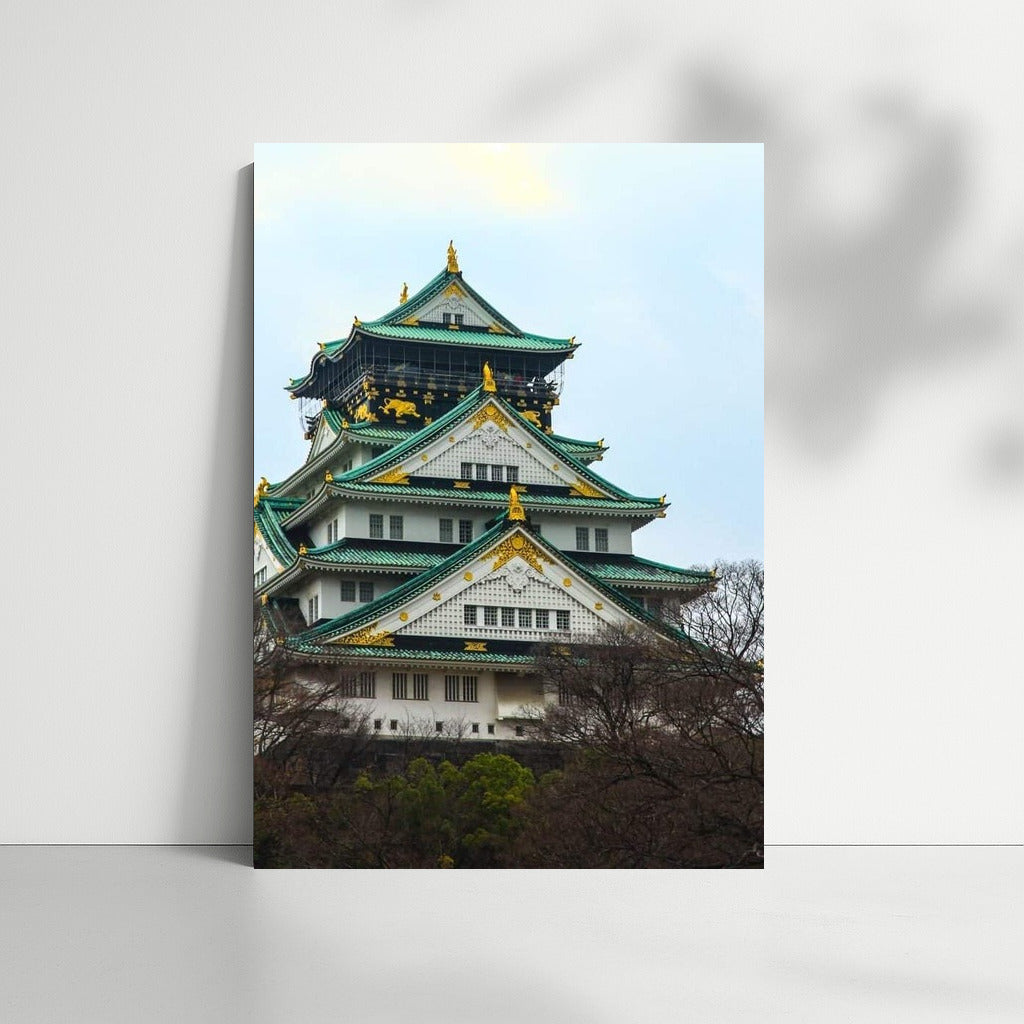 Oriental Charm: Osaka Cityscape