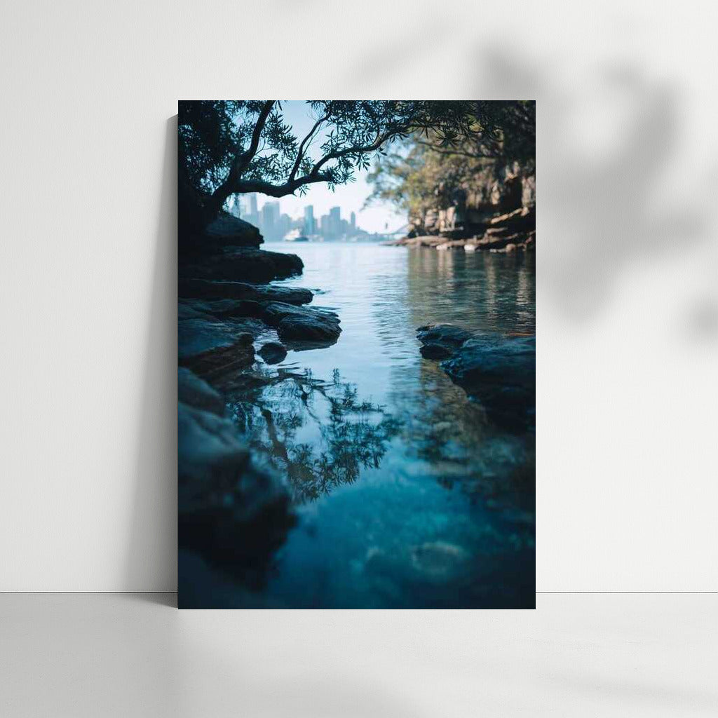 Sydney Harmony: Nature and Urban Chic