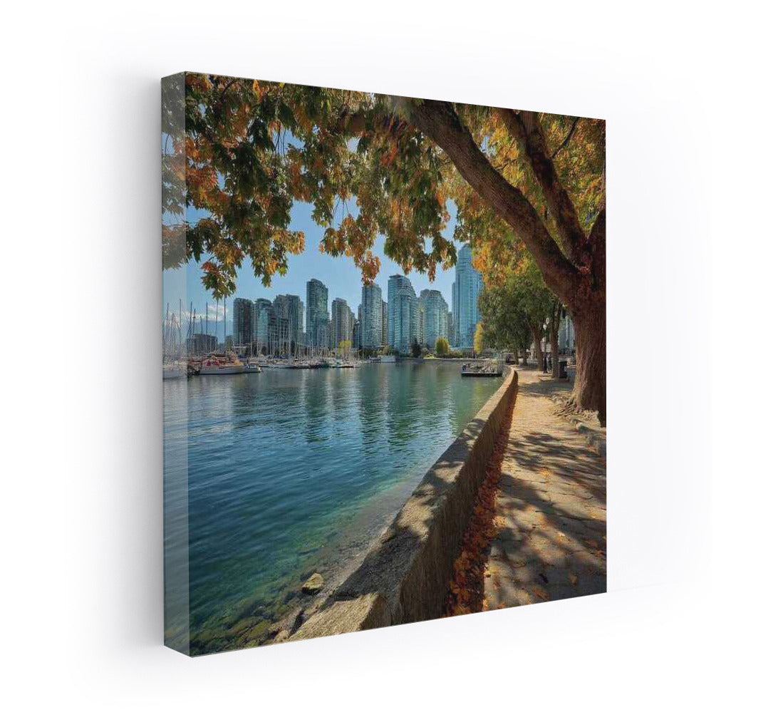 Vancouver's Golden Autumn: Cityscape and Nature