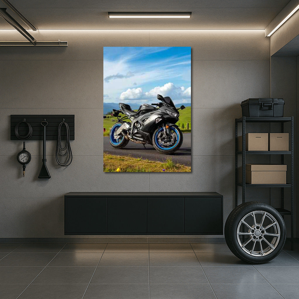 Kawasaki Ninja ZX 6R ABS KRT: Power on Asphalt and Idyll of Country Road