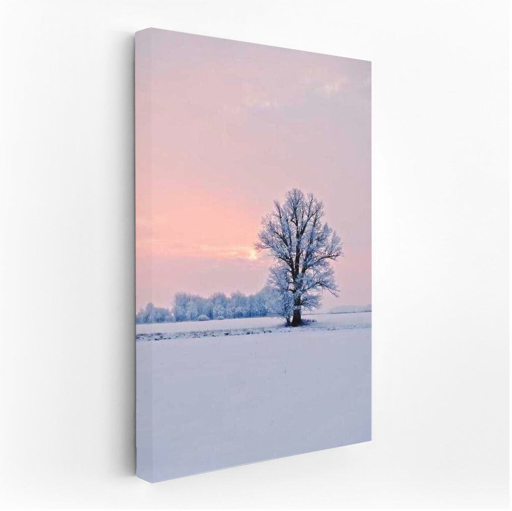 Winter Sunset Symphony: The Majesty of the Tree in Silence