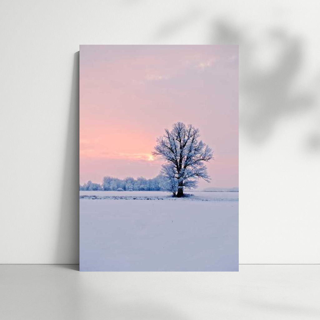Winter Sunset Symphony: The Majesty of the Tree in Silence