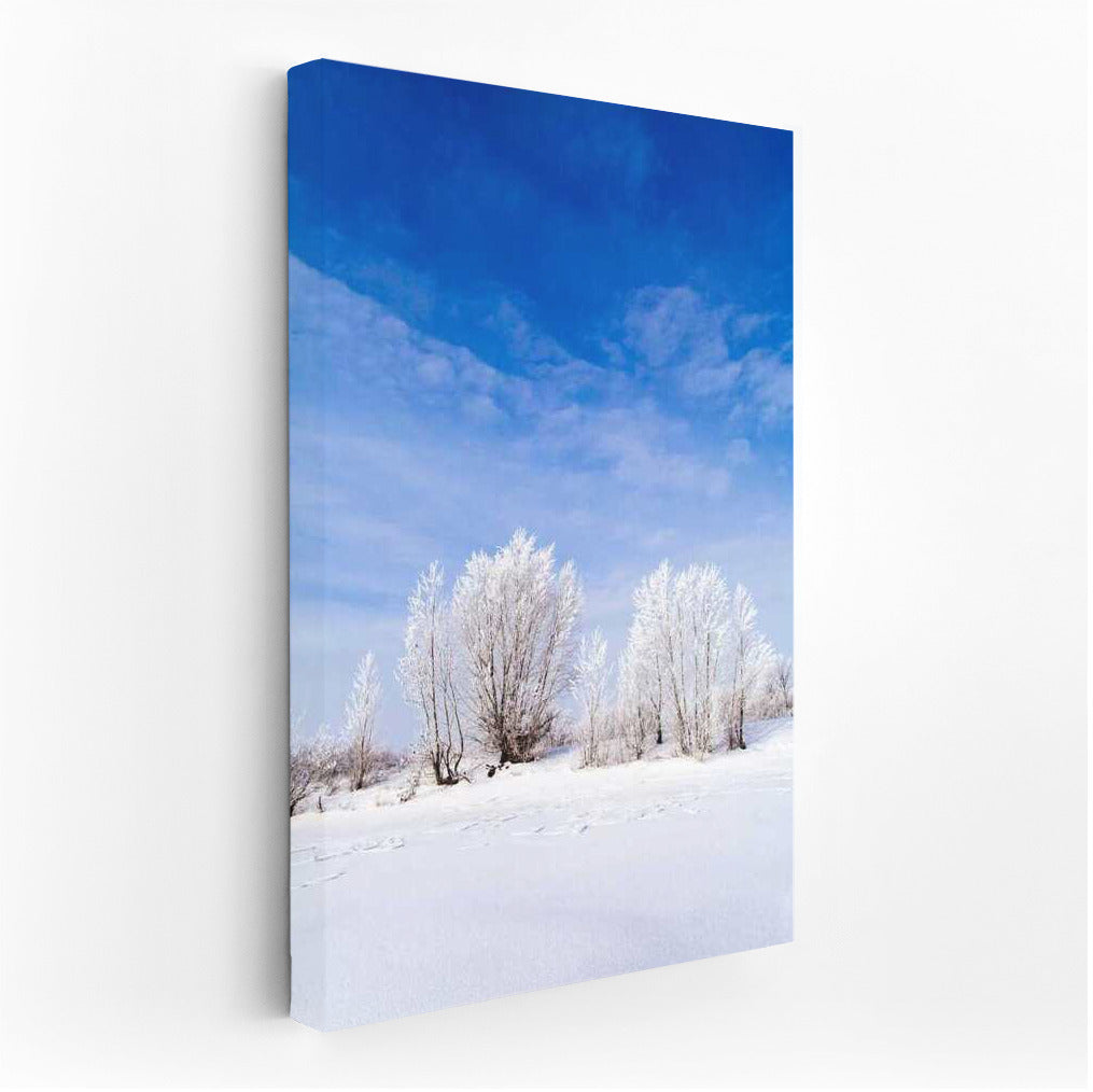 Winter Serenity: Snow-White Trees and Bottomless Sky