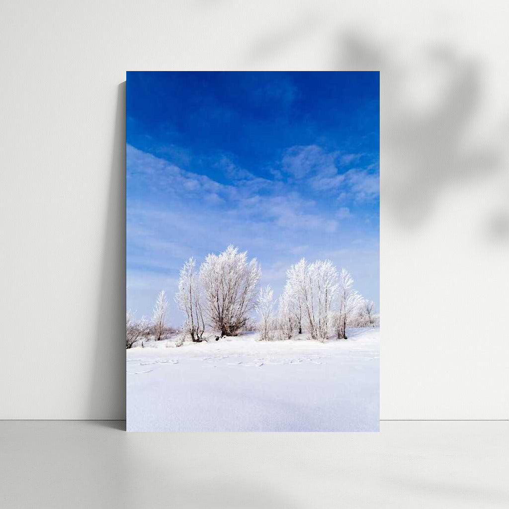 Winter Serenity: Snow-White Trees and Bottomless Sky