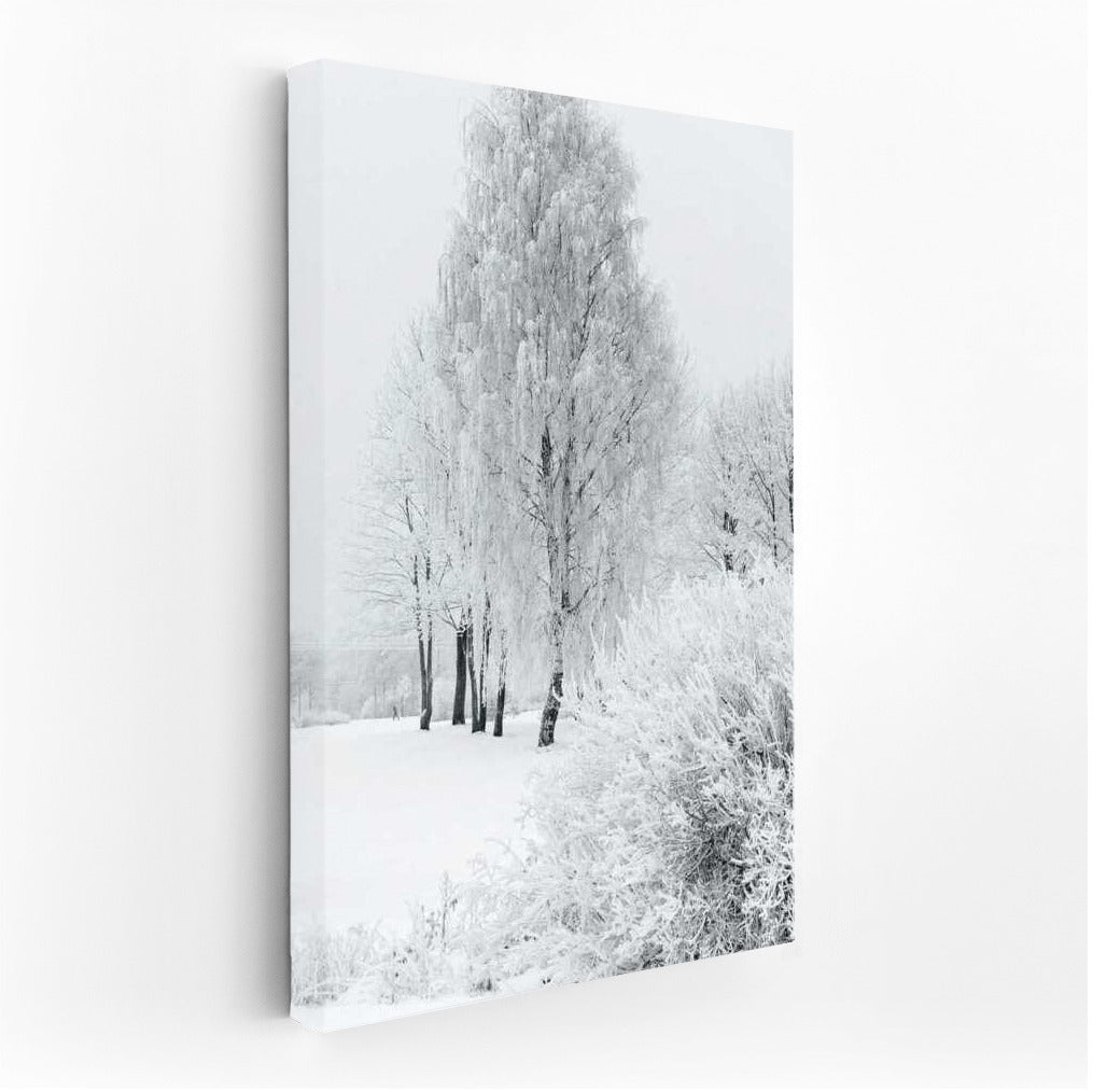 Crystal Winter: Silence of the Snowy Forest