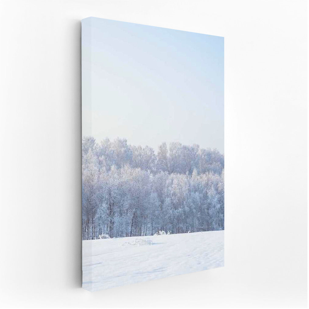 Winter Magic of the Forest: Natural Scenery and Seasonal Winter Landscapes