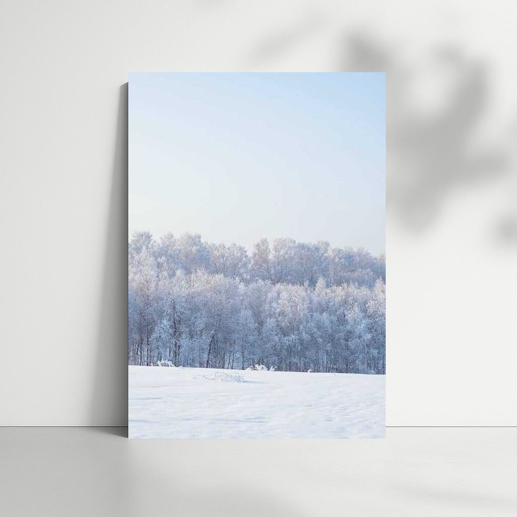 Winter Magic of the Forest: Natural Scenery and Seasonal Winter Landscapes