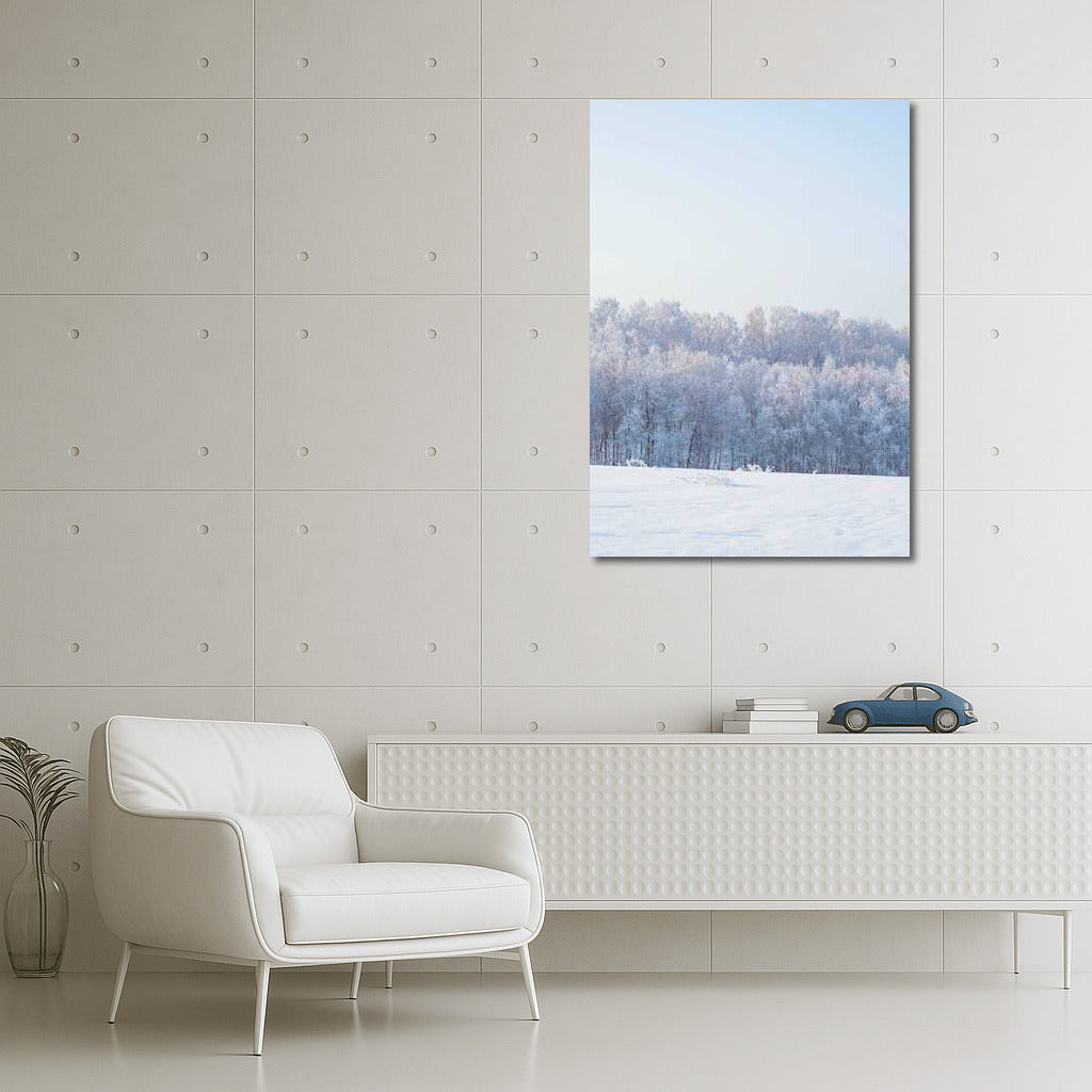 Winter Magic of the Forest: Natural Scenery and Seasonal Winter Landscapes