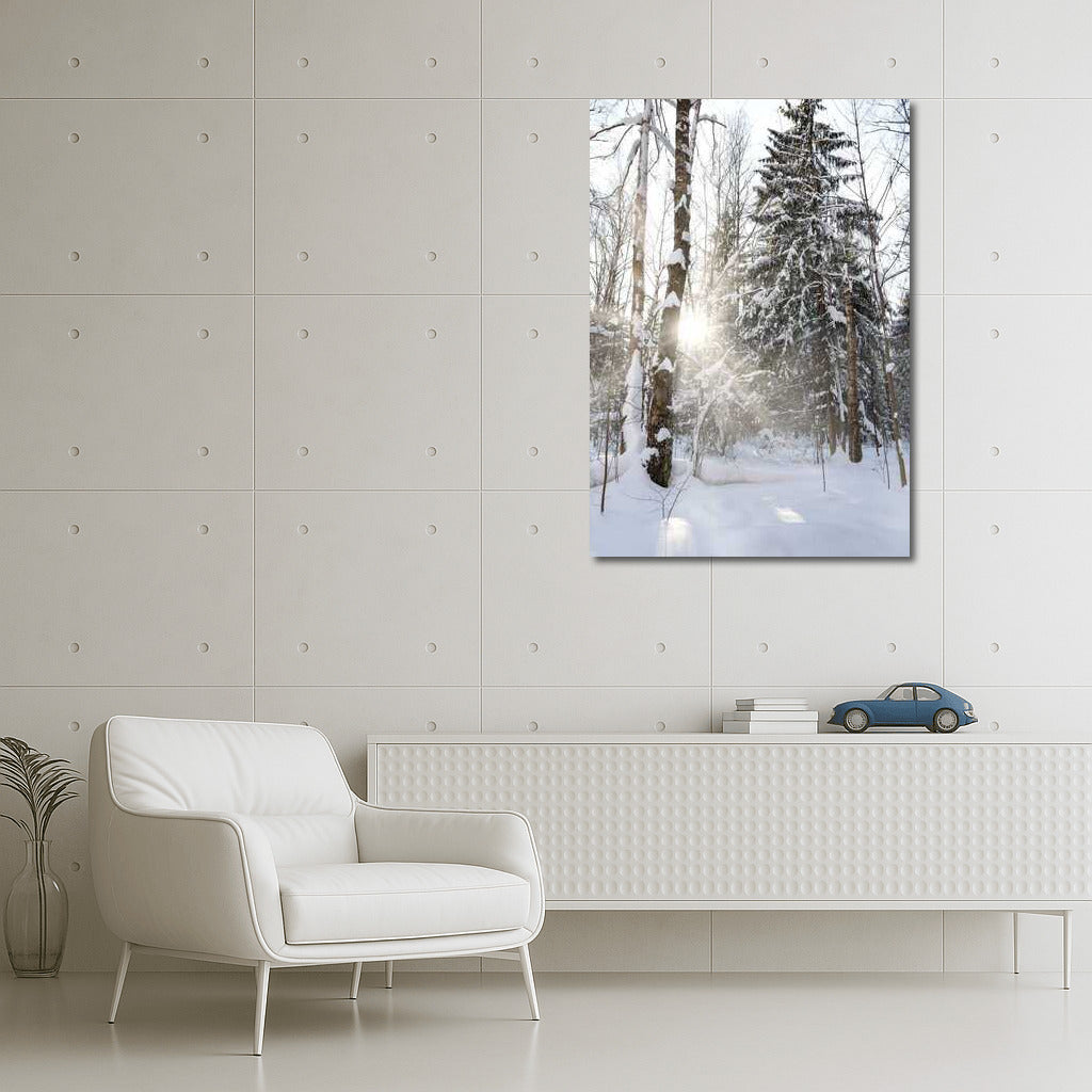 Winter Shine: The Enchanting Silence of the Snowy Forest