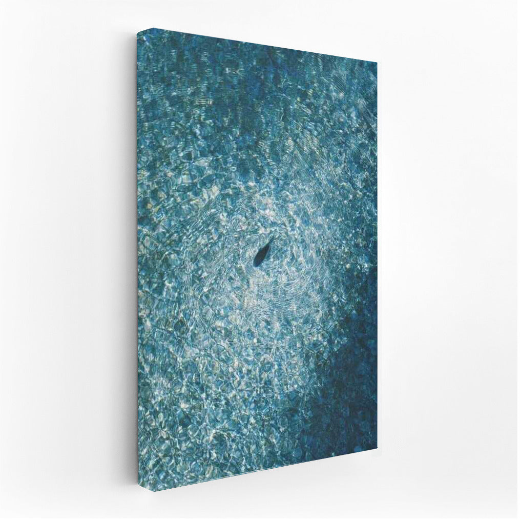 Light and Water: Harmony of Natural Landscape