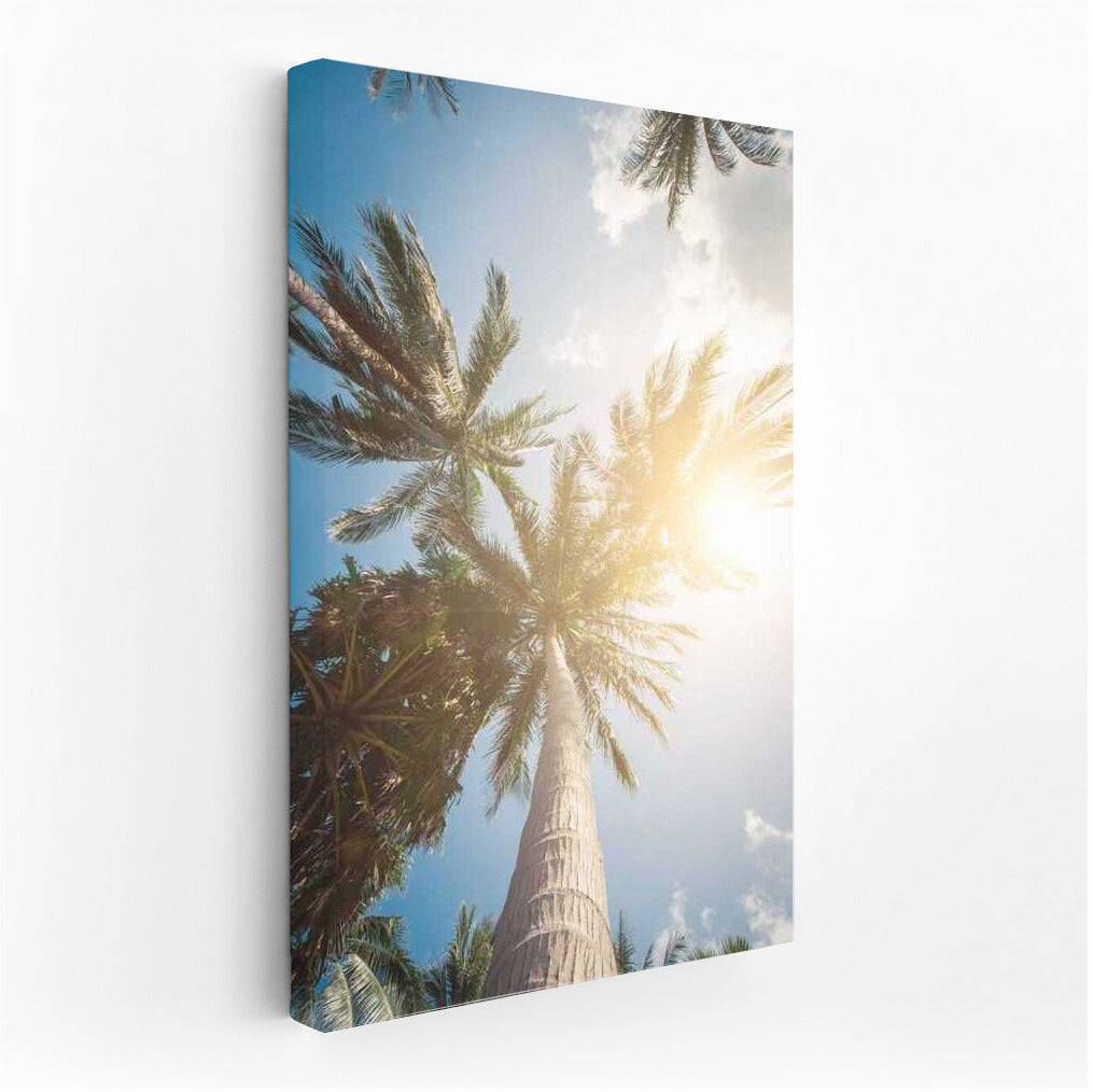 Summer View: Palm Trees Under a Summer Sky