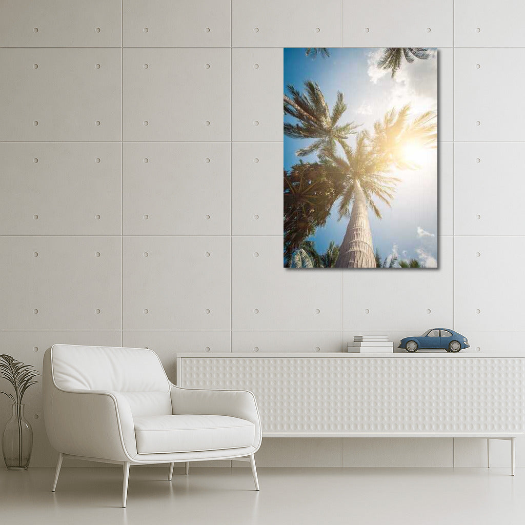 Summer View: Palm Trees Under a Summer Sky