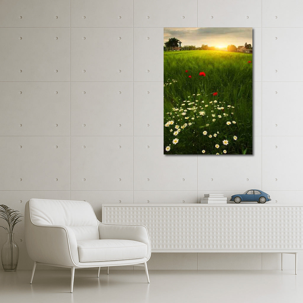 Summer Sunset: Blooming Daisies and Poppies