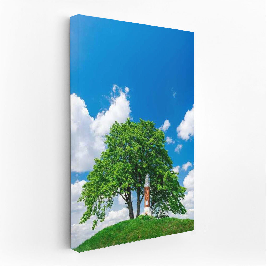 Summer Tree: Picturesque Landscape of Nature