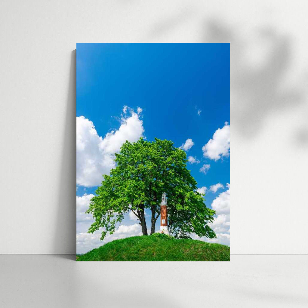 Summer Tree: Picturesque Landscape of Nature