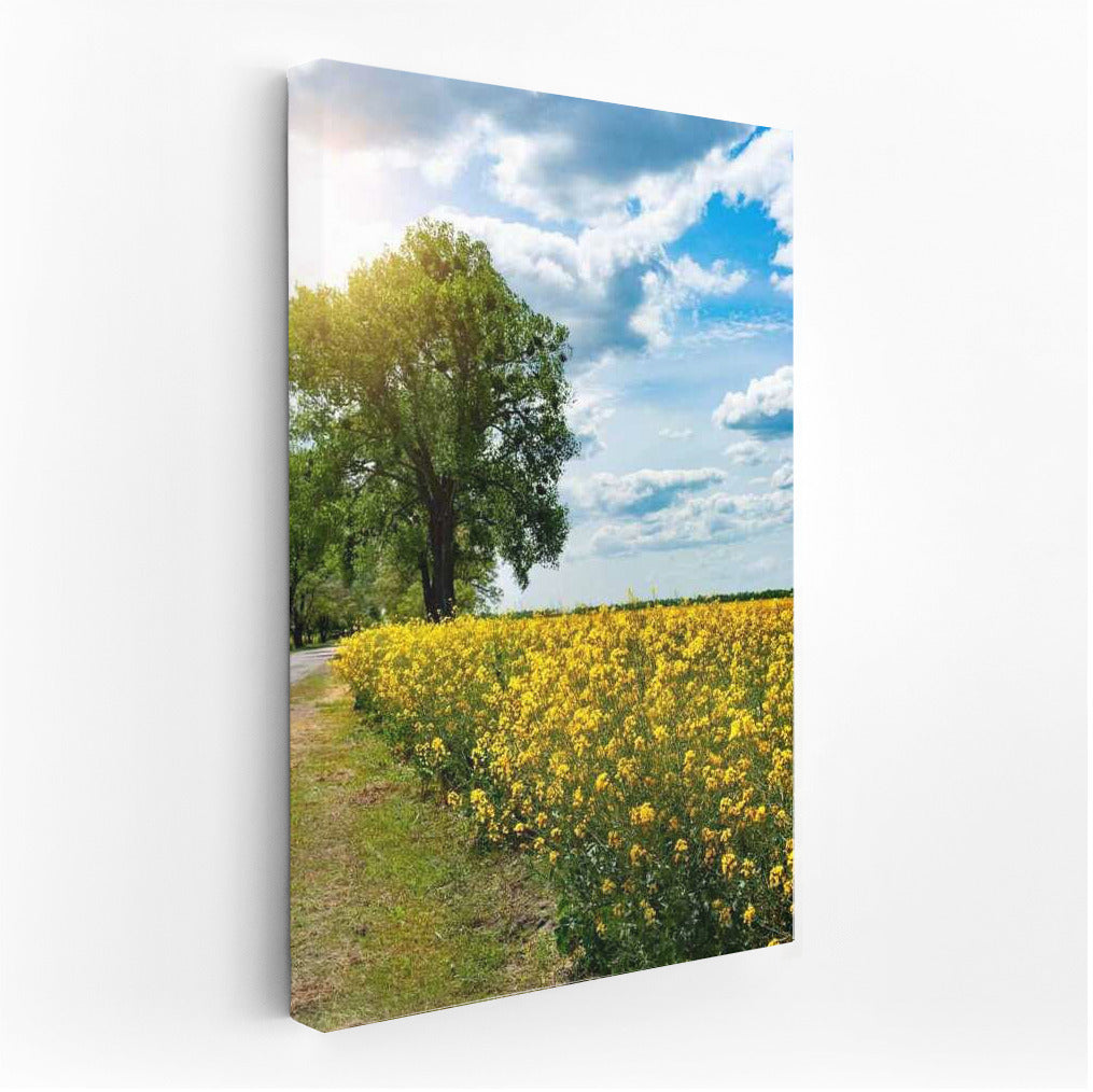 Summer Landscape: Bright Fields and Serene Skies