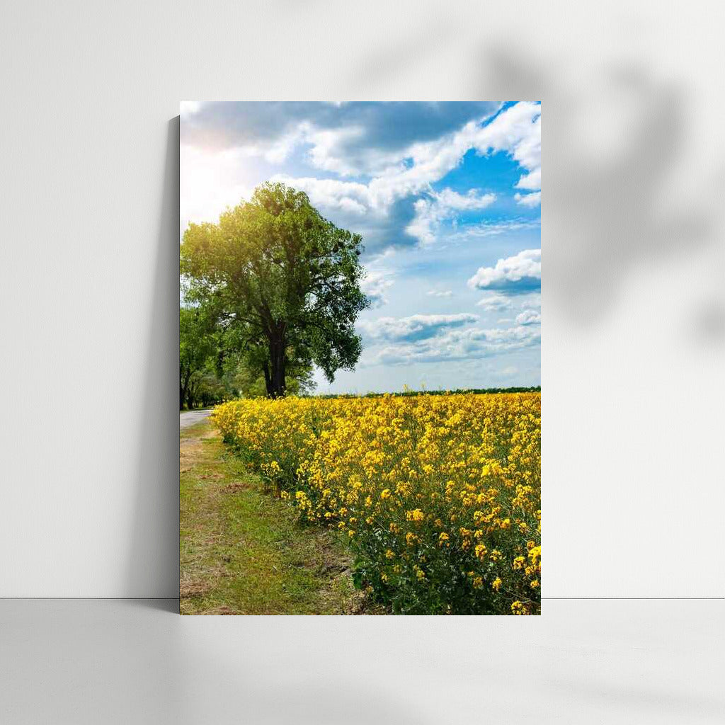Summer Landscape: Bright Fields and Serene Skies