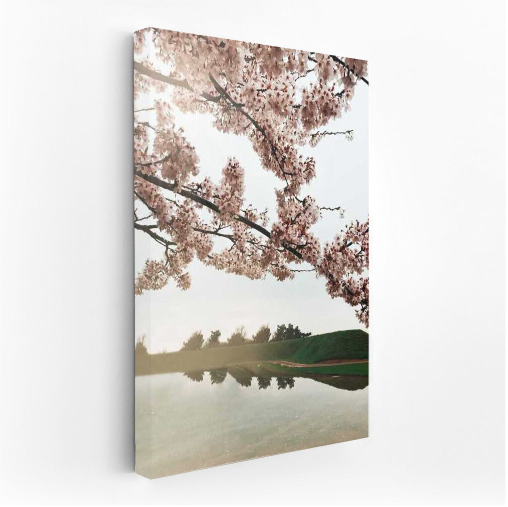 Spring Charm: Cherry Blossoms Over the Lake