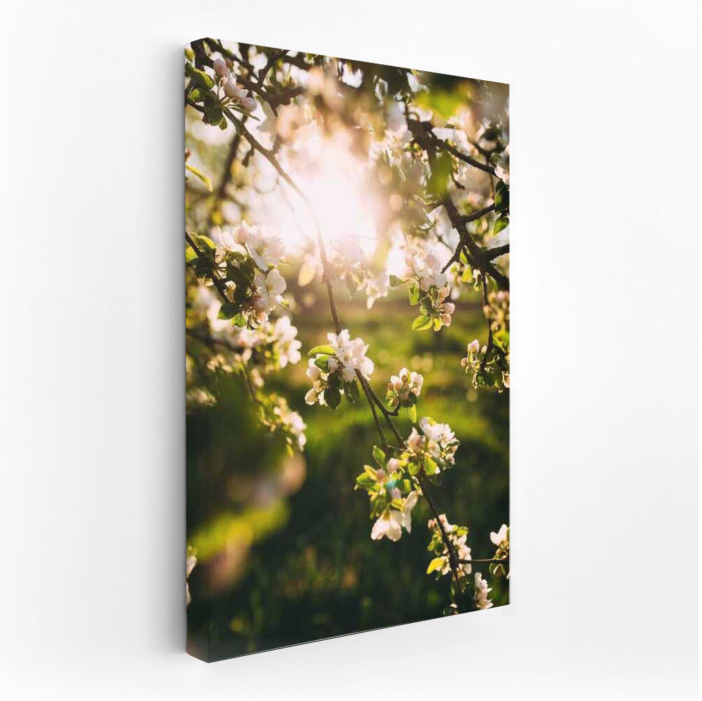 Spring Awakening: Flowers and Sun Rays in Landscape