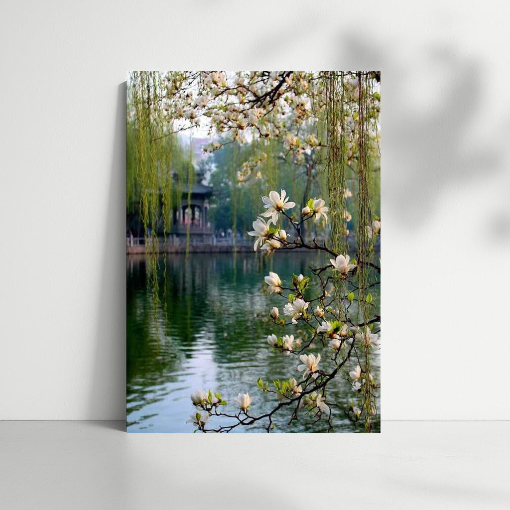 Spring Dawn: Awakening Nature in Delicate Flowers and Waters