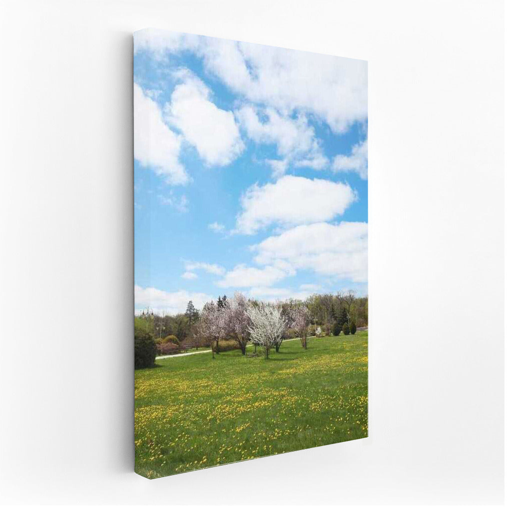 Spring Bloom: Awakening Nature in the Blue Sky