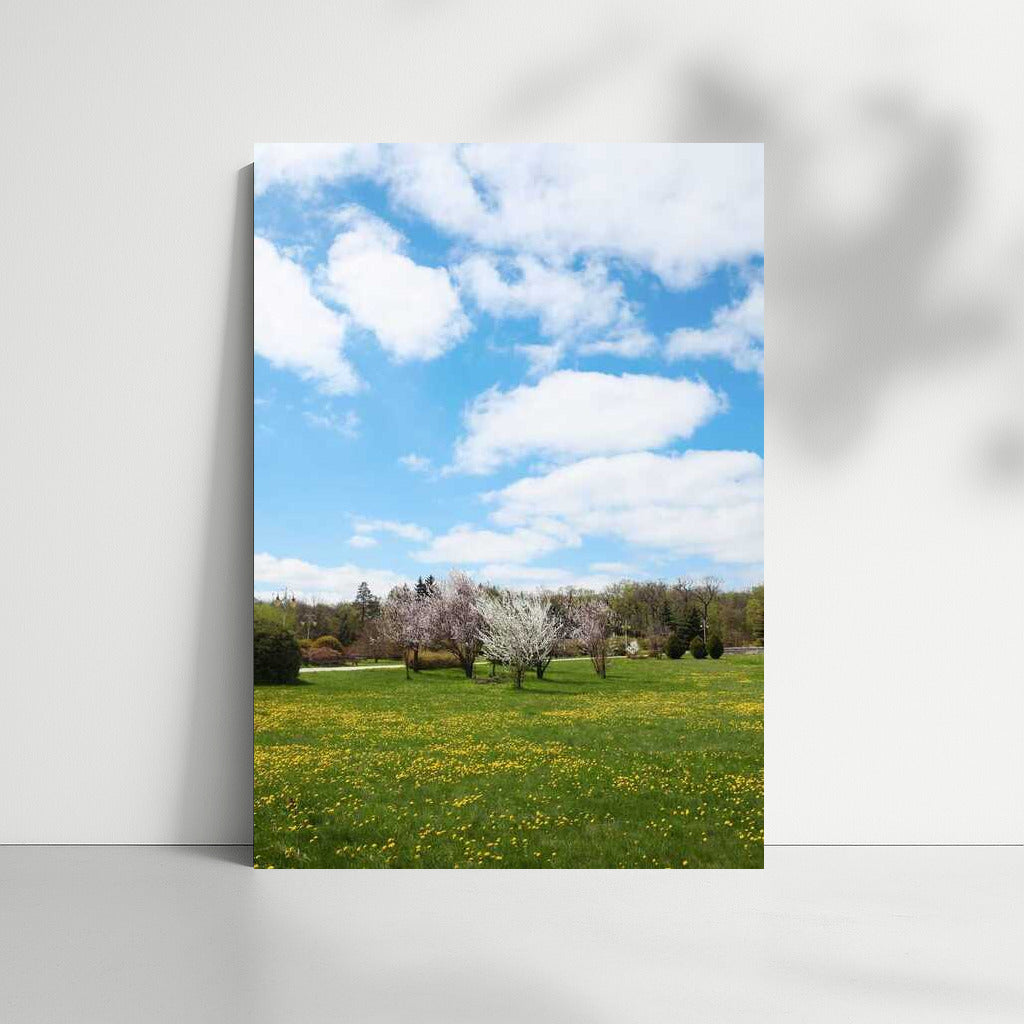 Spring Bloom: Awakening Nature in the Blue Sky