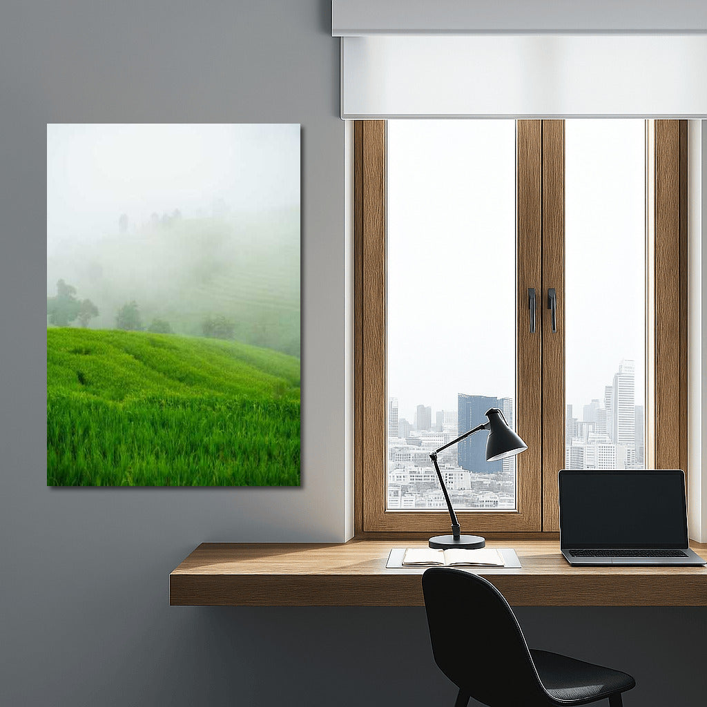 Misty Morning: Green Fields and Freshness