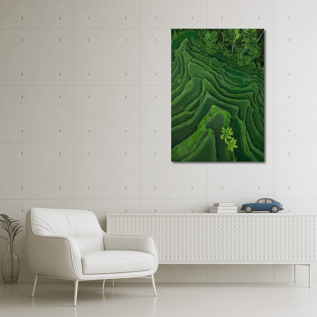 Emerald Terraces: Harmony of Rice Fields