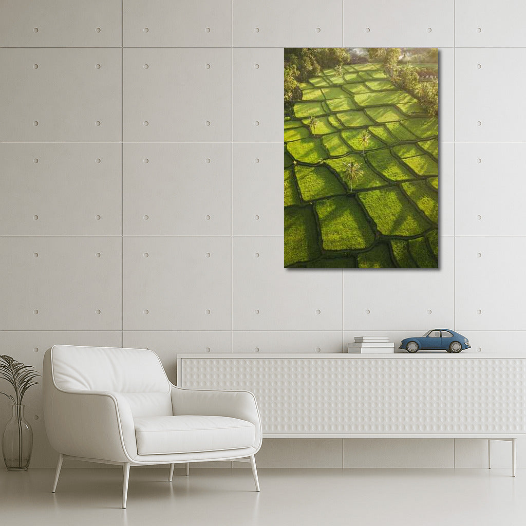 Emerald Rice Fields in Sunlight: Harmony of Nature for Your Home