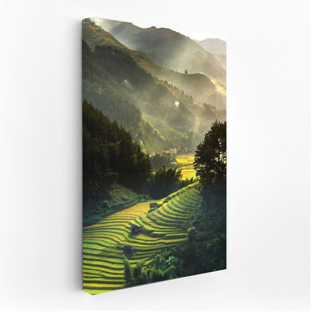 Misty Mountains and Terraces: Natural Harmony in the Interior