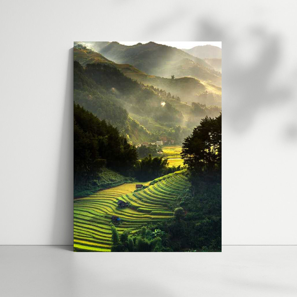 Misty Mountains and Terraces: Natural Harmony in the Interior