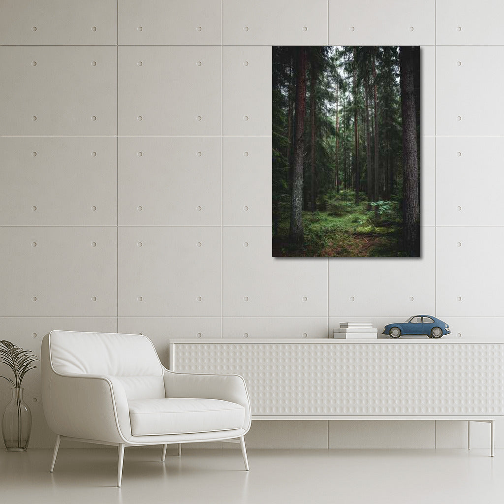 Forest Tale: The Greatness of Nature and Trees