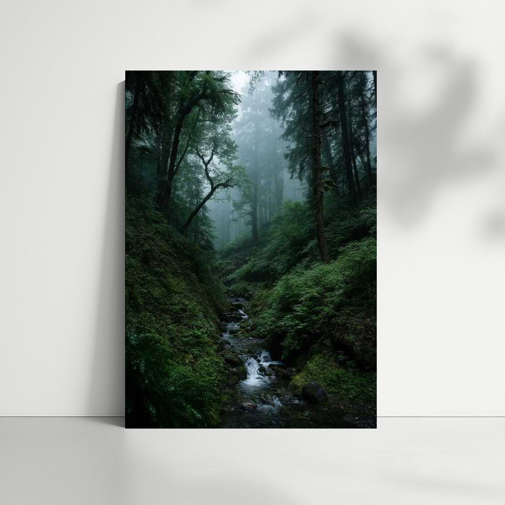 Misty Morning in the Forest: The Tranquility of Nature