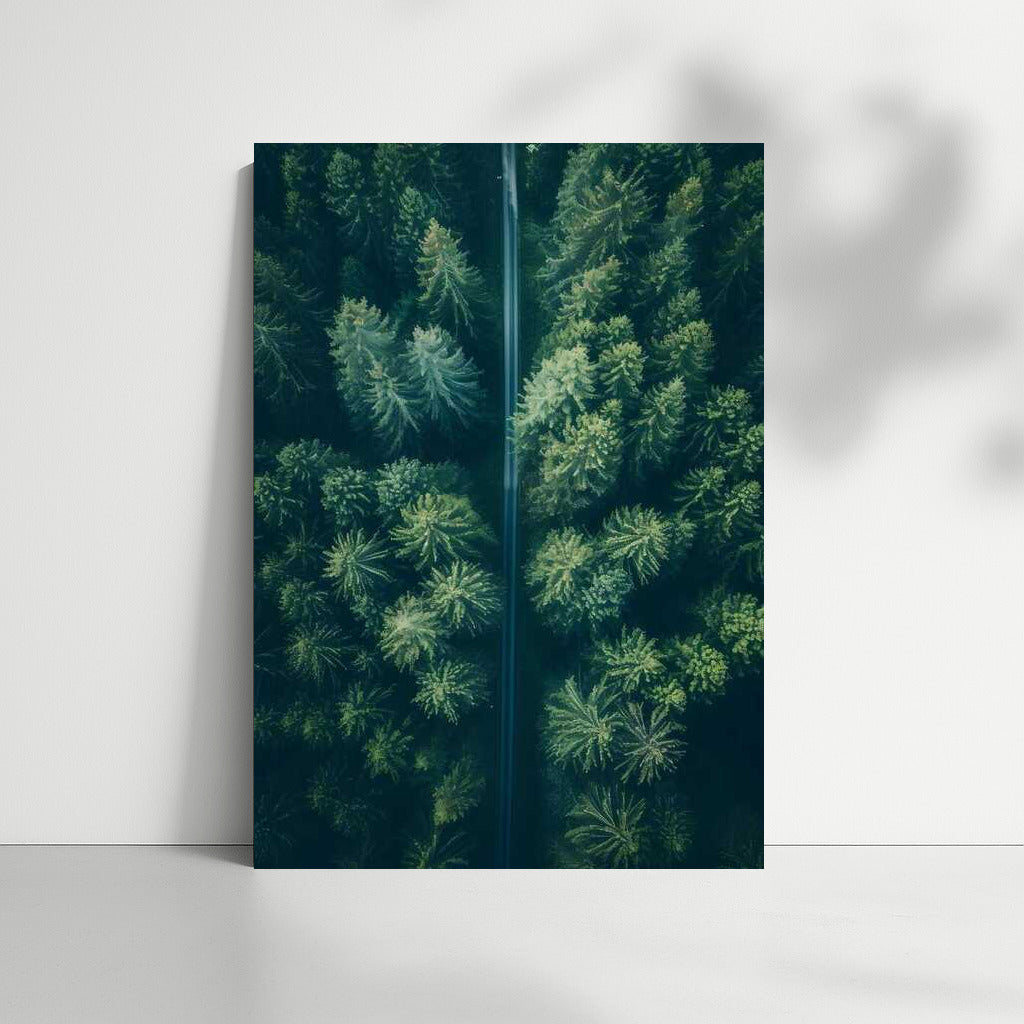 Green Symphony of Forest Landscapes: Freshness and Peace of Nature