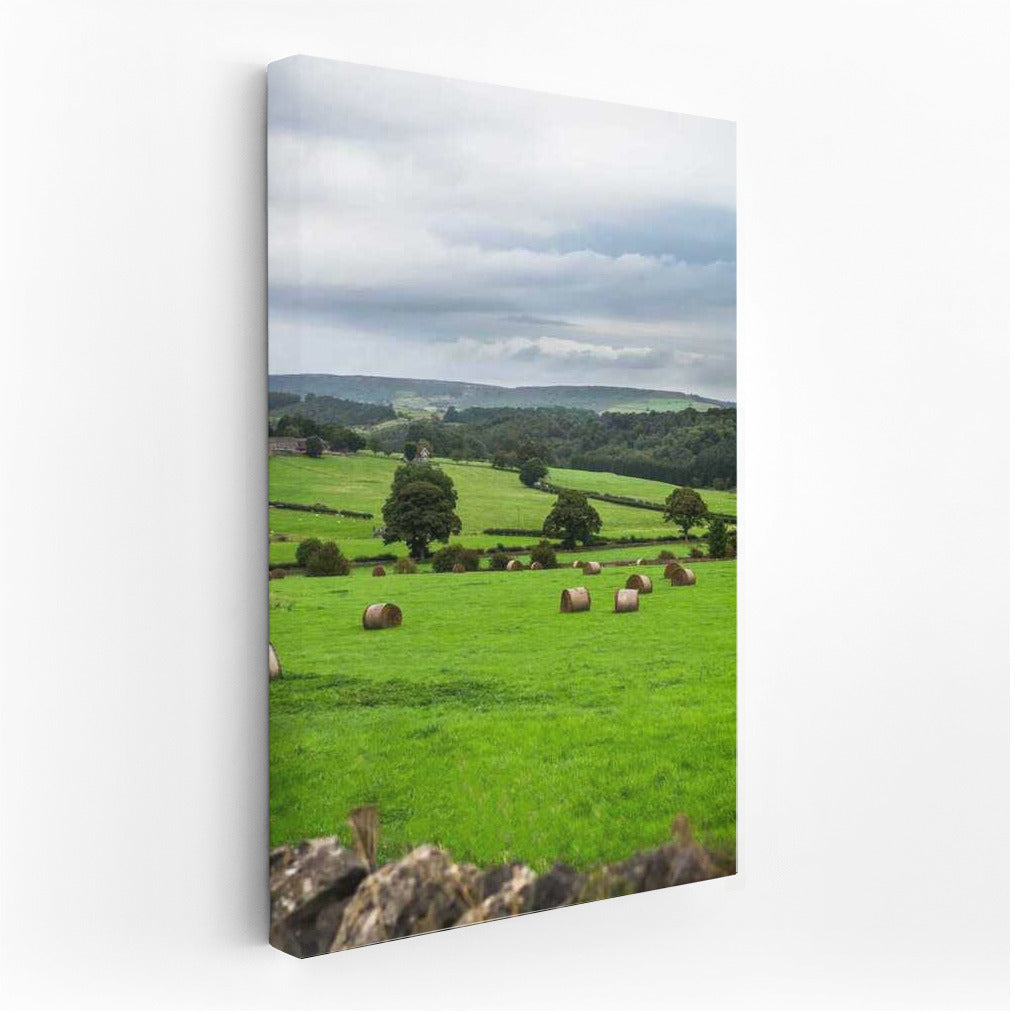 Serene Spaces: Rural Fields Landscape