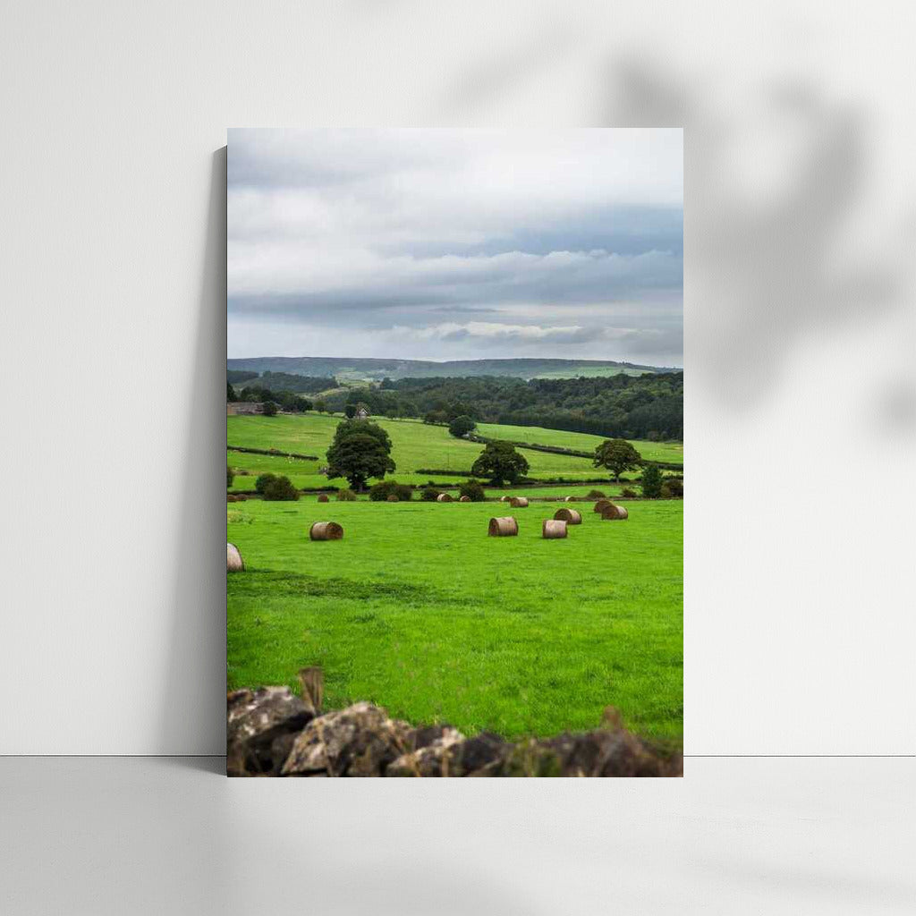 Serene Spaces: Rural Fields Landscape