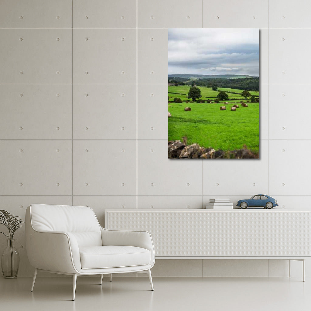 Serene Spaces: Rural Fields Landscape