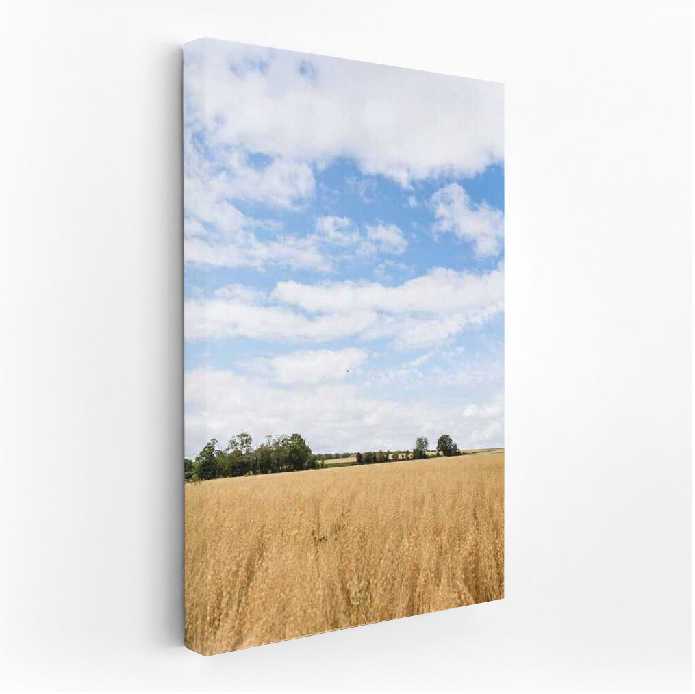 Blooming Fields and Endless Sky: Natural Landscapes and Rural Spaces
