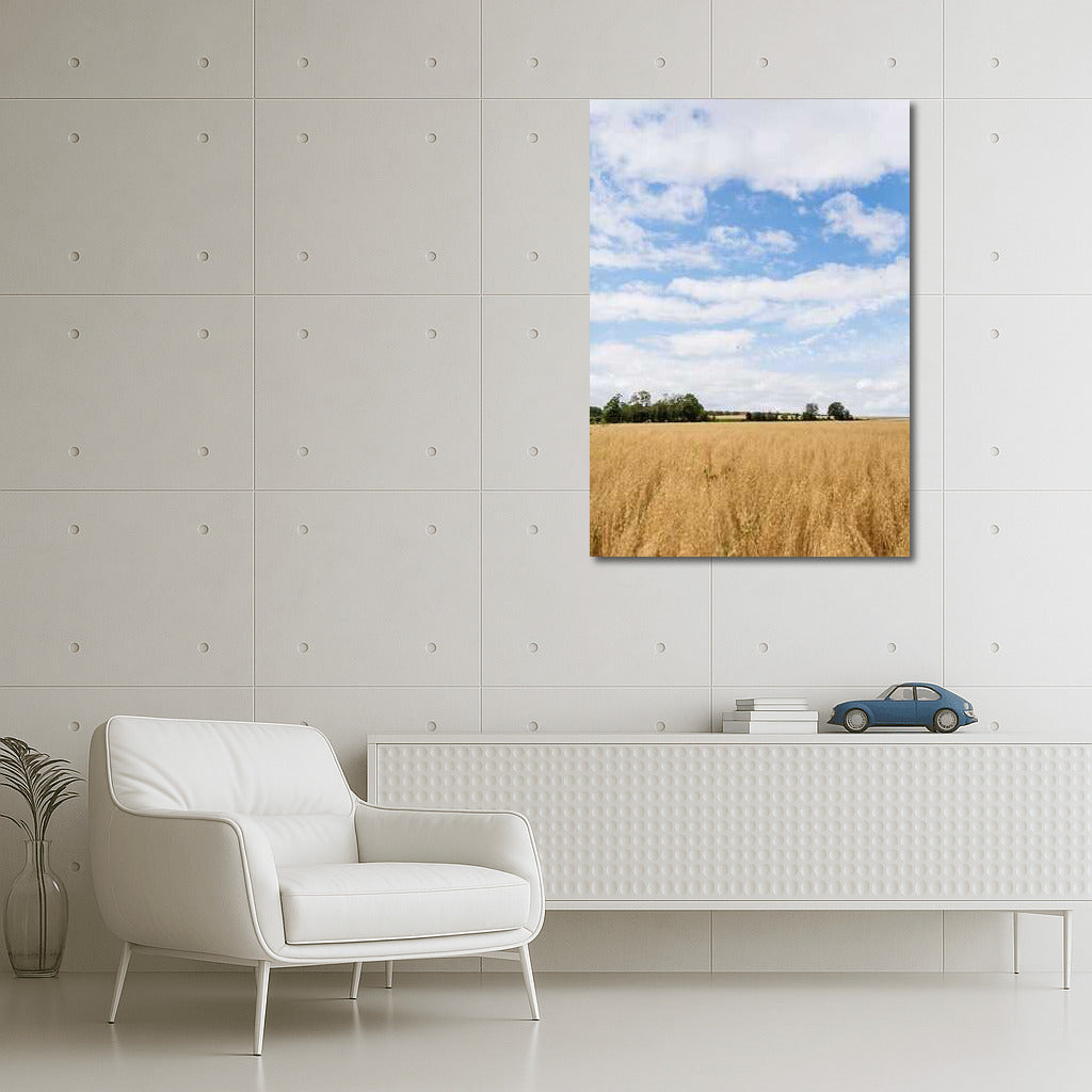 Blooming Fields and Endless Sky: Natural Landscapes and Rural Spaces