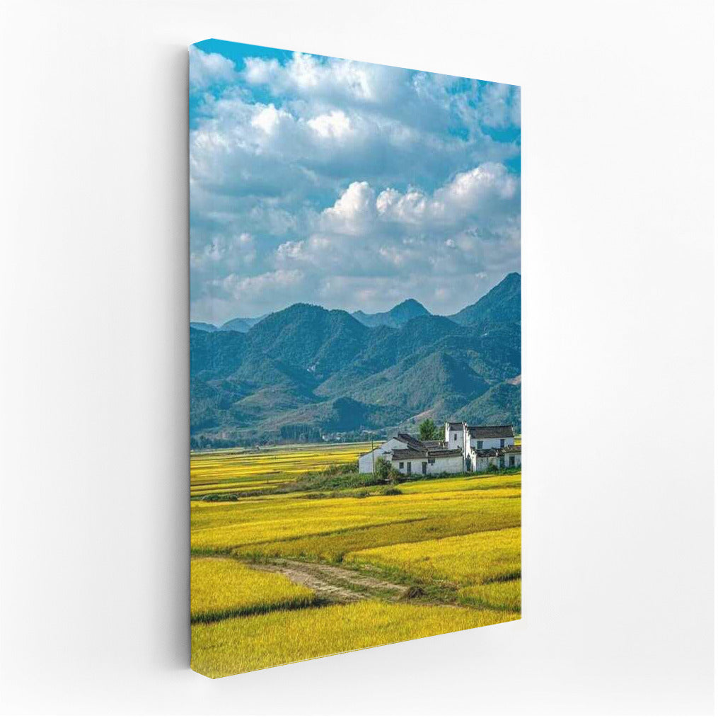 Golden Fields and Mountain Range: Natural Landscapes and Rural Spaces