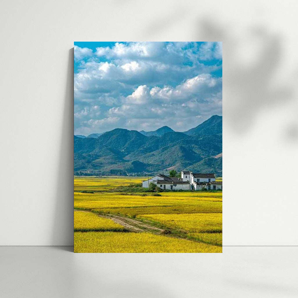 Golden Fields and Mountain Range: Natural Landscapes and Rural Spaces