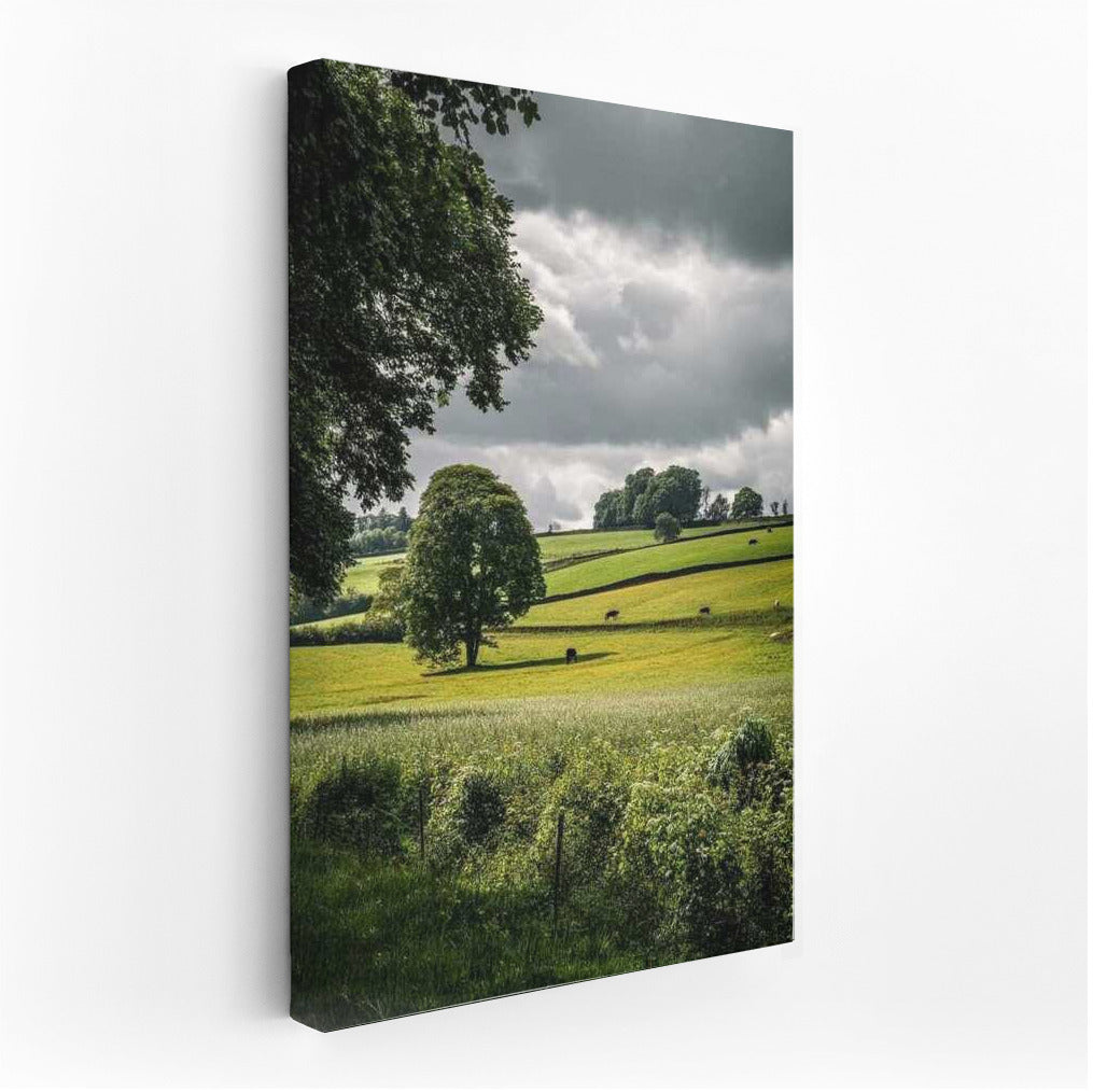 Romance of Countryside Fields: The Tranquility of Nature