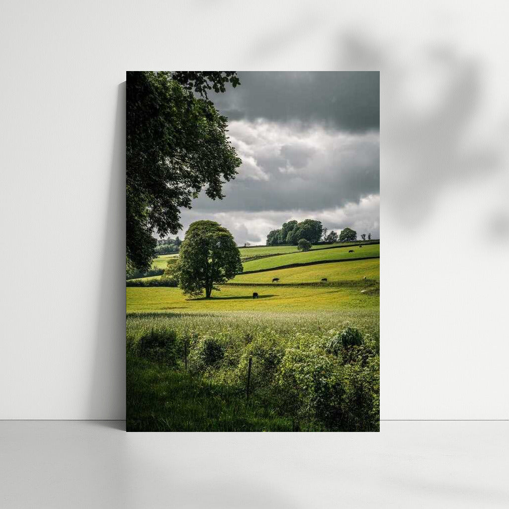 Romance of Countryside Fields: The Tranquility of Nature