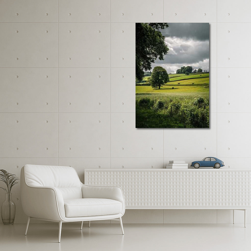 Romance of Countryside Fields: The Tranquility of Nature
