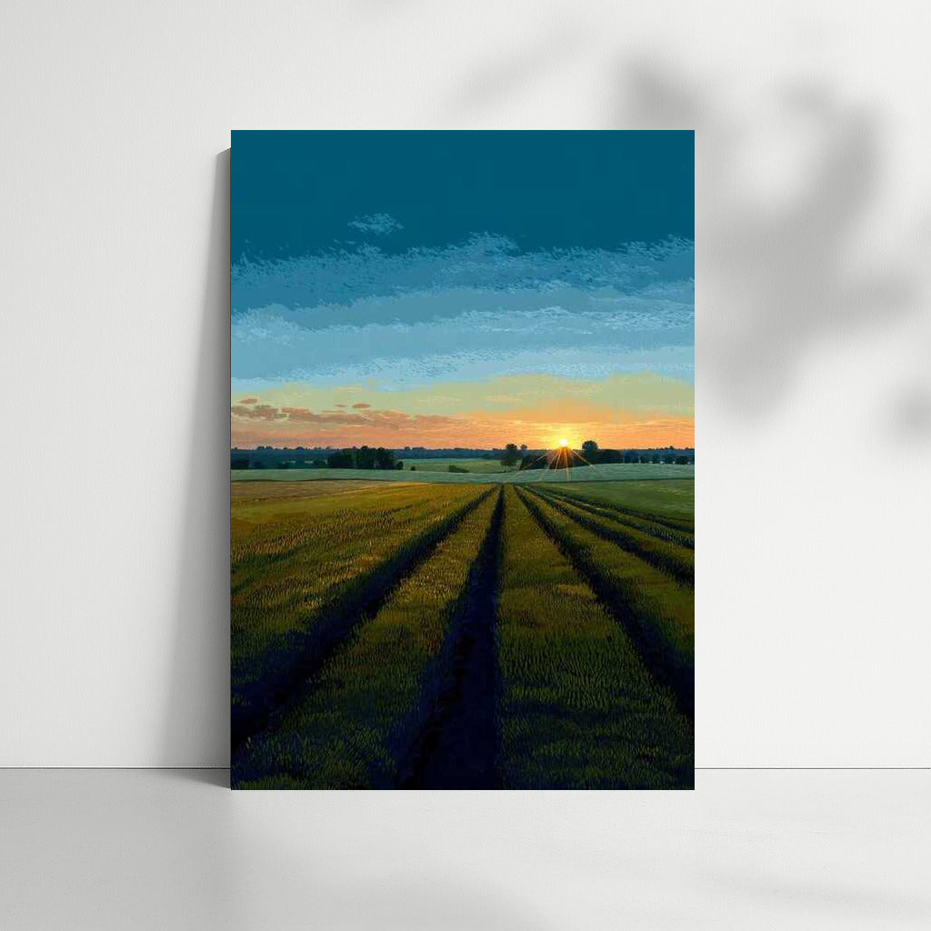 Sunset Tranquility: Fields and Countryside Spaces