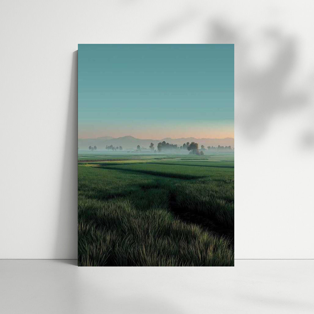 Peaceful Countryside Fields: Natural Landscapes and Plains