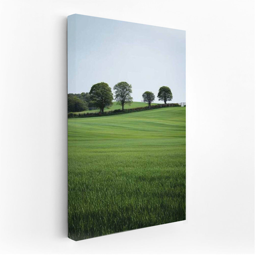 Green Fields: The Tranquility of the Countryside