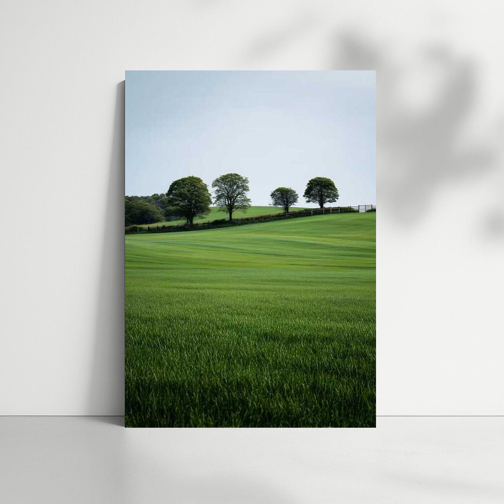 Green Fields: The Tranquility of the Countryside