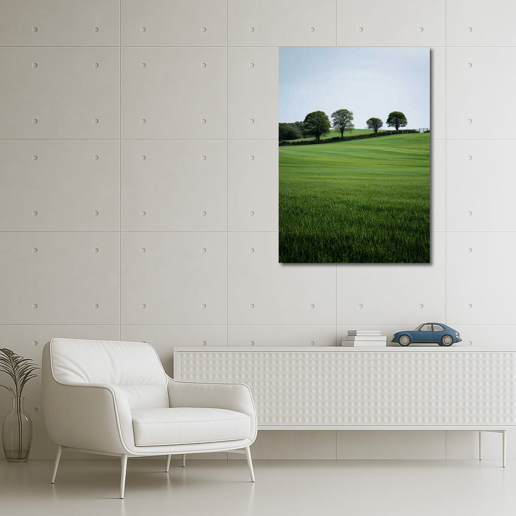 Green Fields: The Tranquility of the Countryside