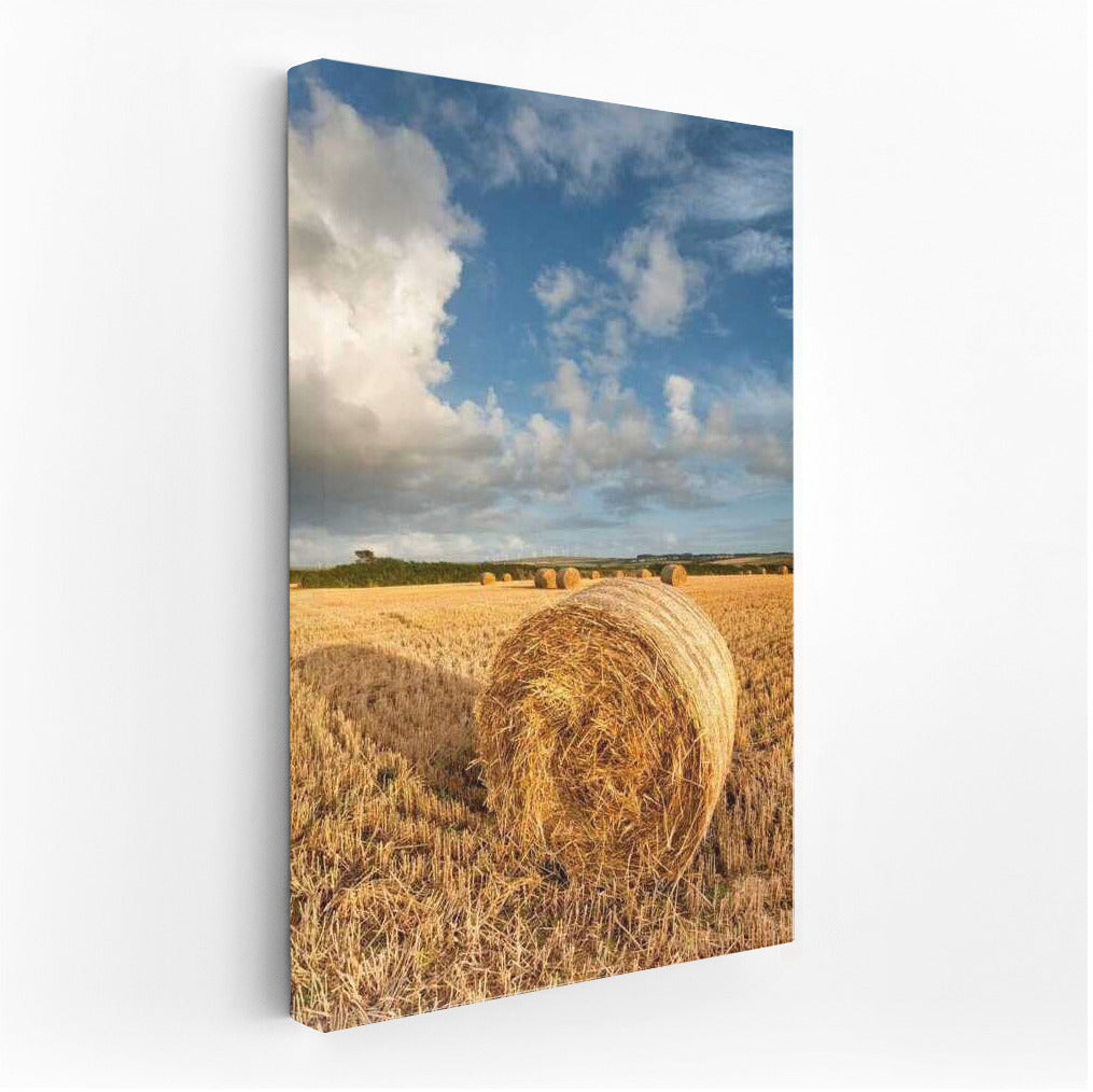Serene Spaces: Fields and Countryside Landscapes